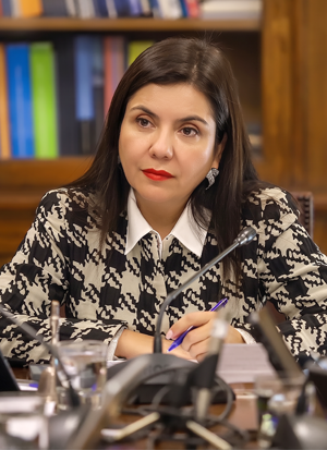 Danisa Astudillo en la sección Soy Danisa